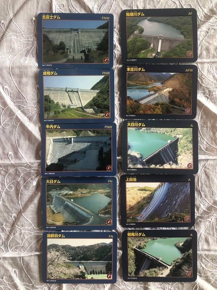 Amazon.co.jp: ダムカード 淡路島コンプリート 10枚 1M9EA : パソコン