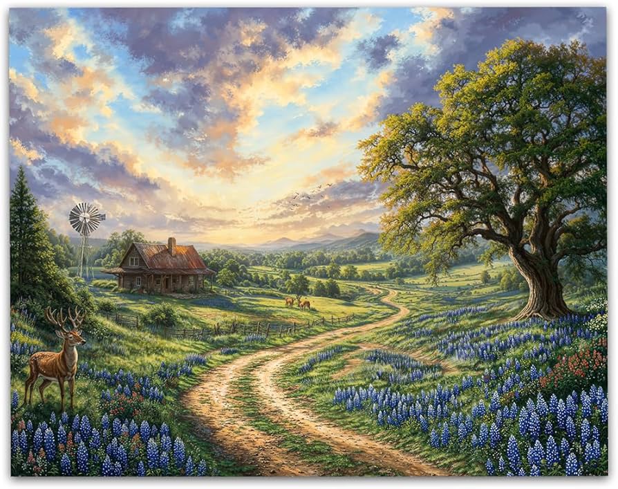 Amazon.com: Texas Sunset Rustic Countryside Landscape Painting