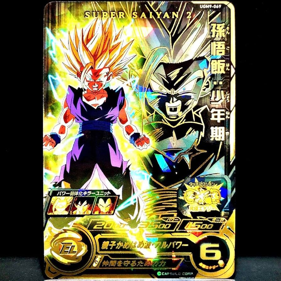希少 SBDH ドラゴンボール 本家 旧弾 H2-16 psa10 孫悟飯 少年 激レア