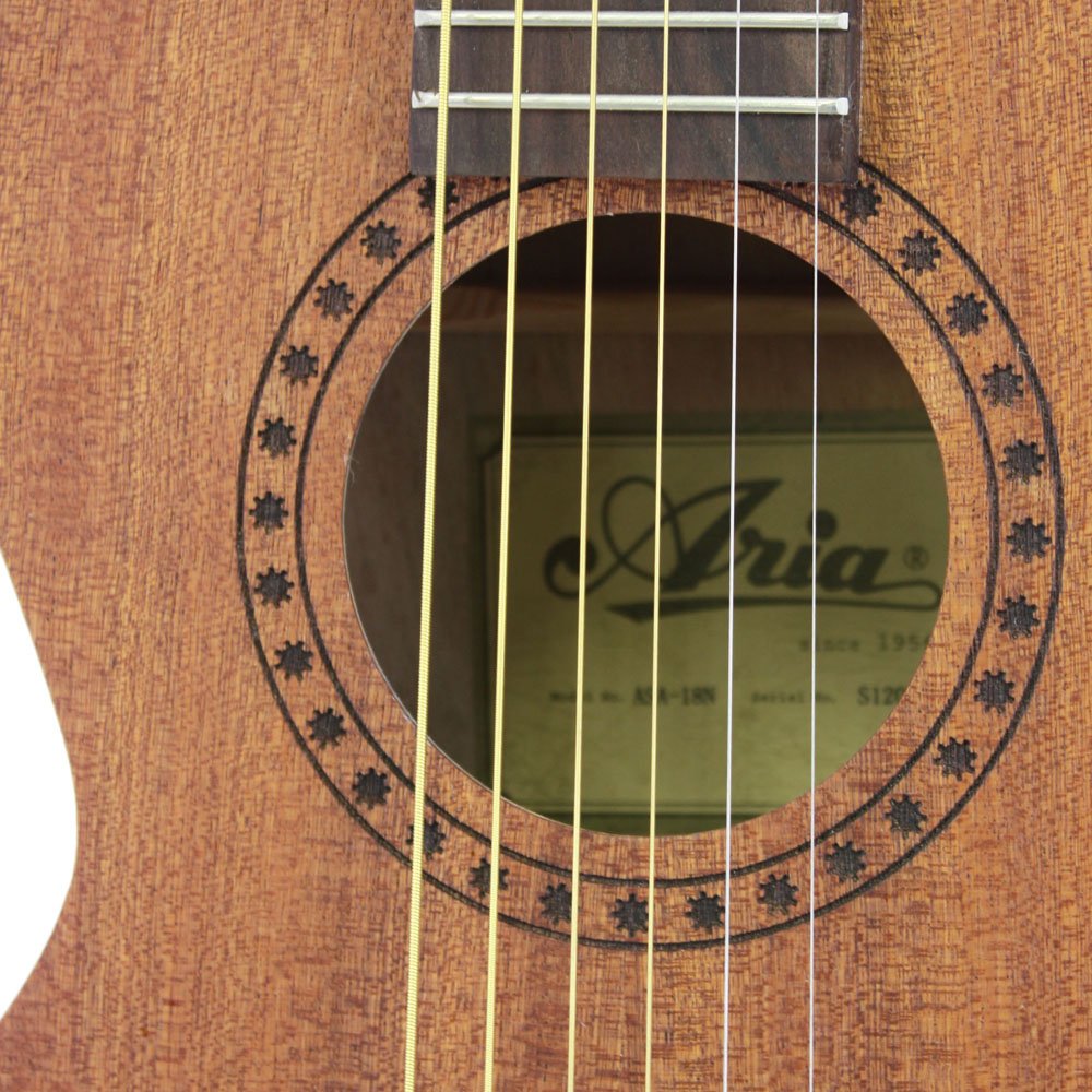 Amazon | ARIA アリア ミニアコースティックギター ASA-18 N ケース