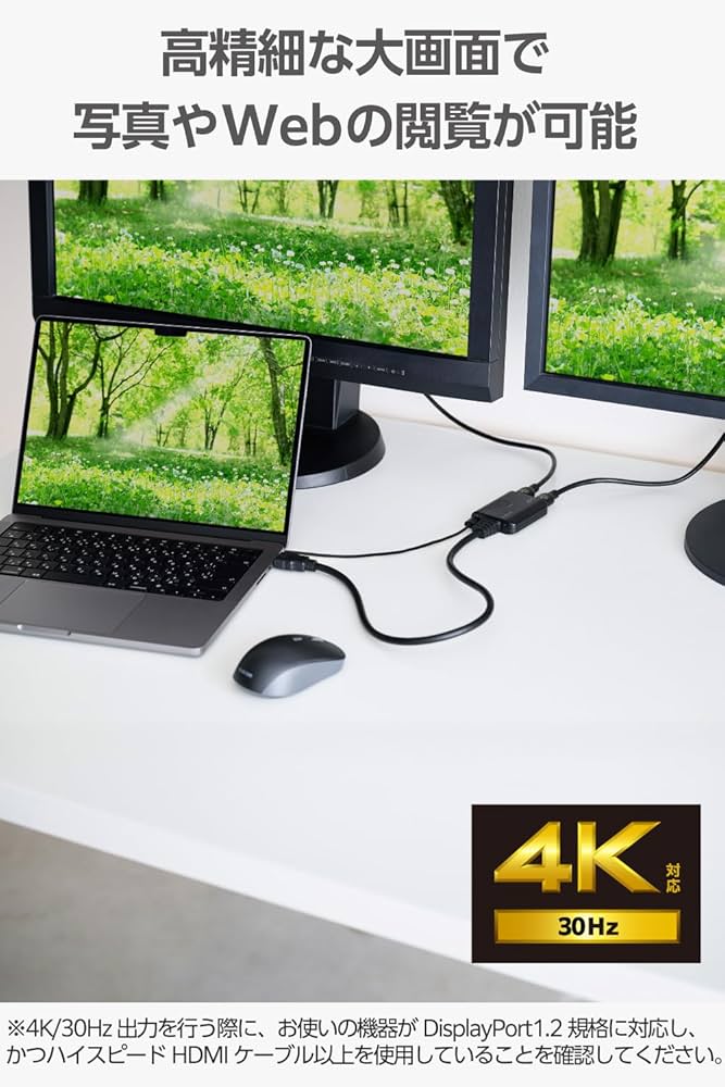 Amazon | エレコム HDMI 分配器 4K/30Hz 1入力2出力 同時出力 給電