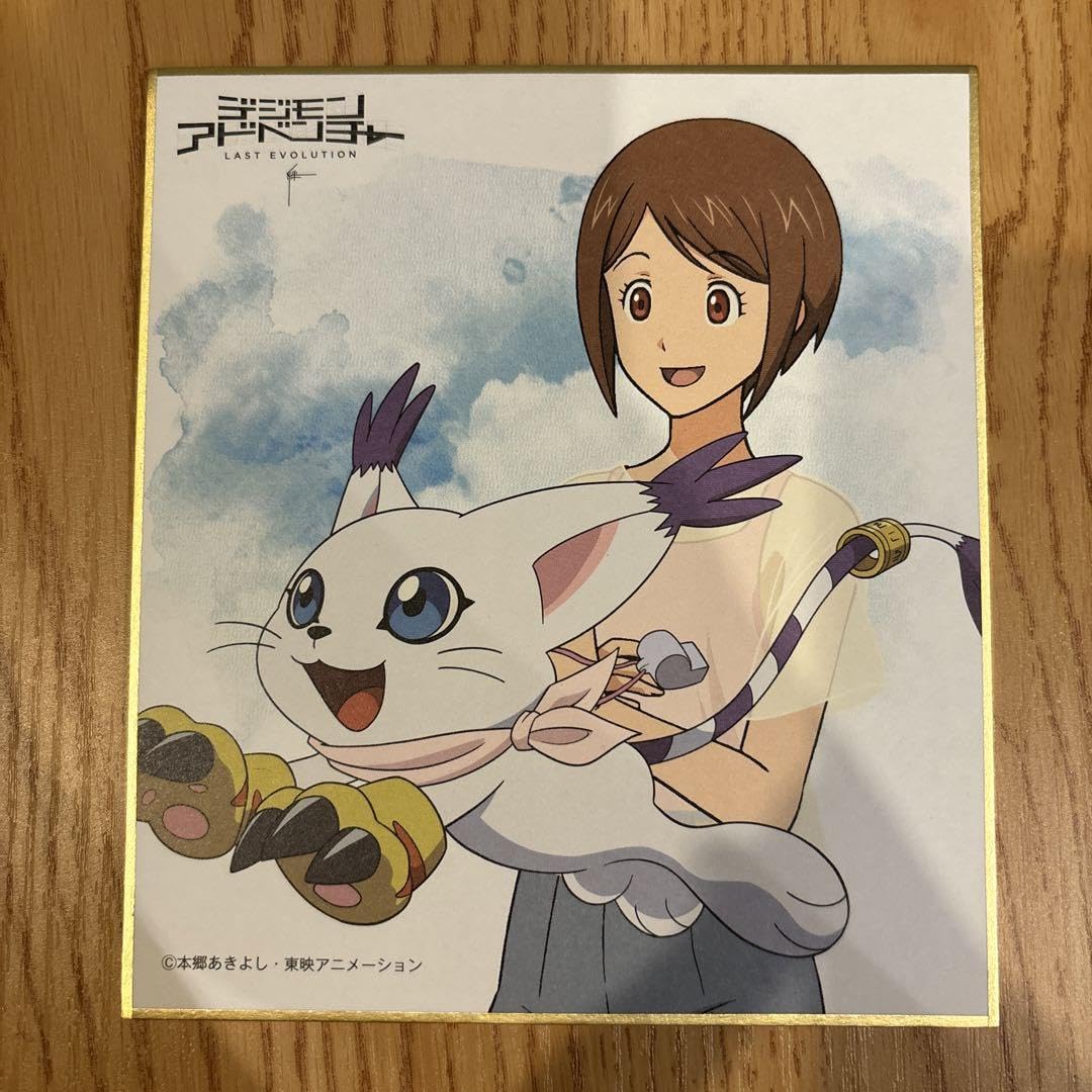 Amazon.co.jp: デジモンアドベンチャー 絆 八神ヒカリ 色紙 : 文房具