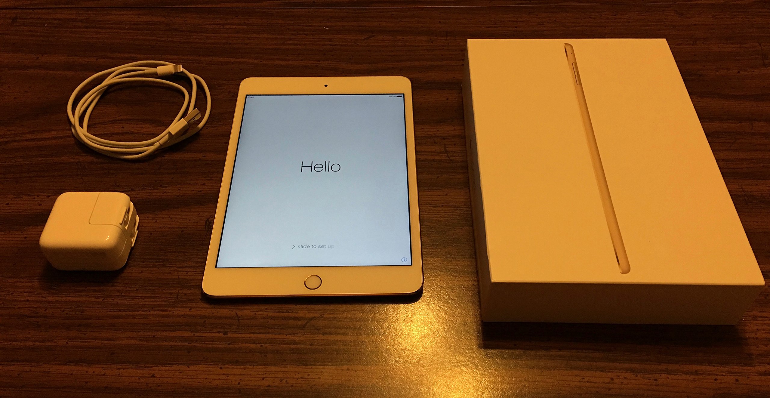 iPad mini4 64GB(Wi-Fi +cecullar)正箱、充電器付きケース付き】 iPad mini