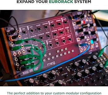 Amazon.com: MOOG Mavis - Standalone Semi-Modular Analog