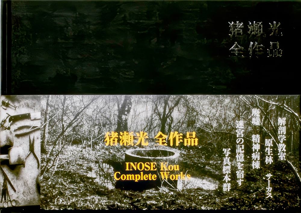 猪瀬光全作品 | 猪瀬光 |本 | 通販 | Amazon