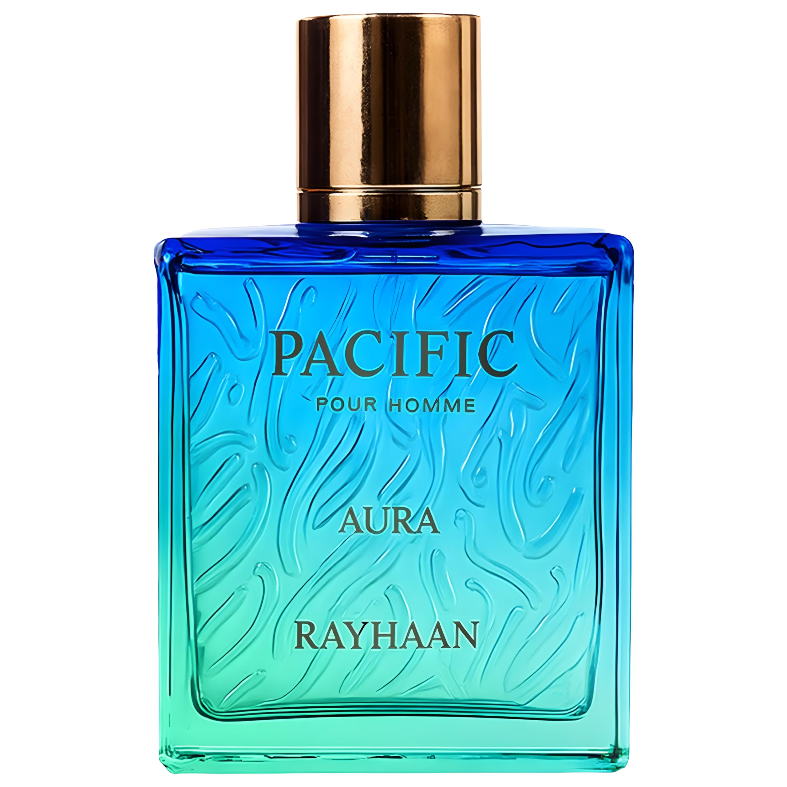 Amazon.com : Rayhaan Pacific Aura - Citrus, Aromatic, Mint, Amber