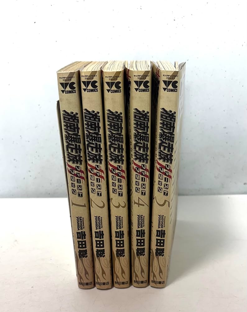 湘南爆走族 ファースト フラッグ コミック 1-5巻セット (秋田書店