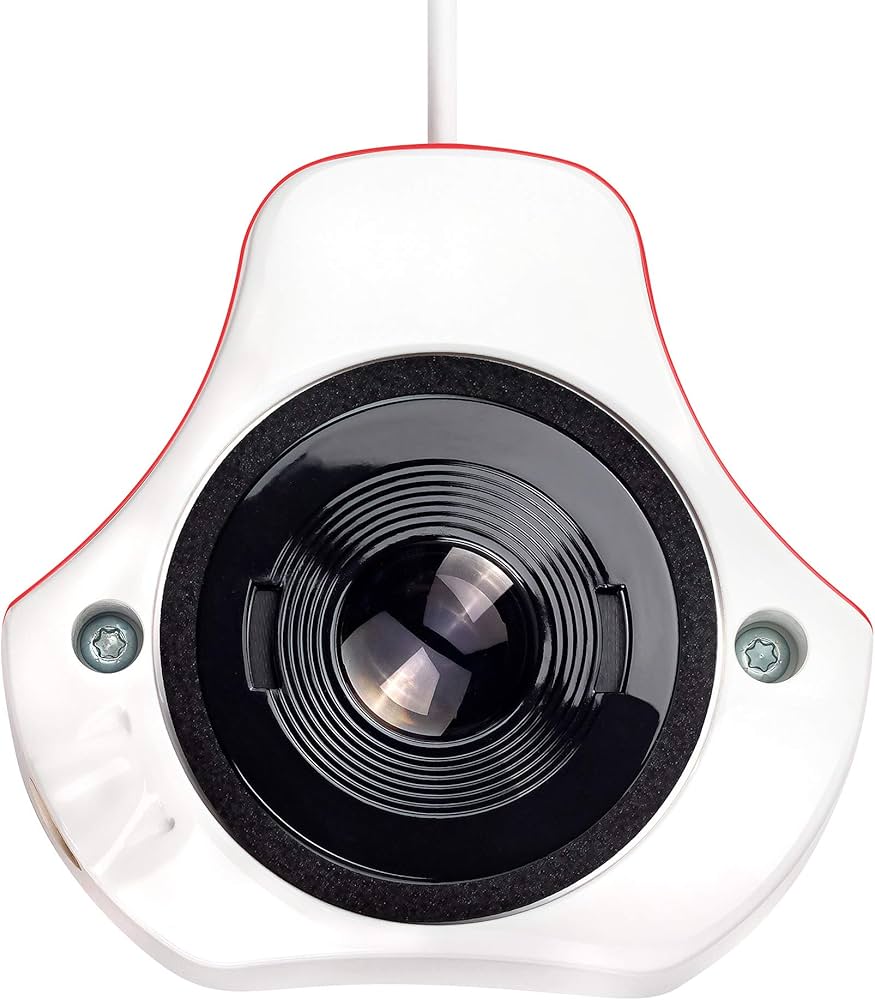 818KjDKHnbL._AC_UF1000,