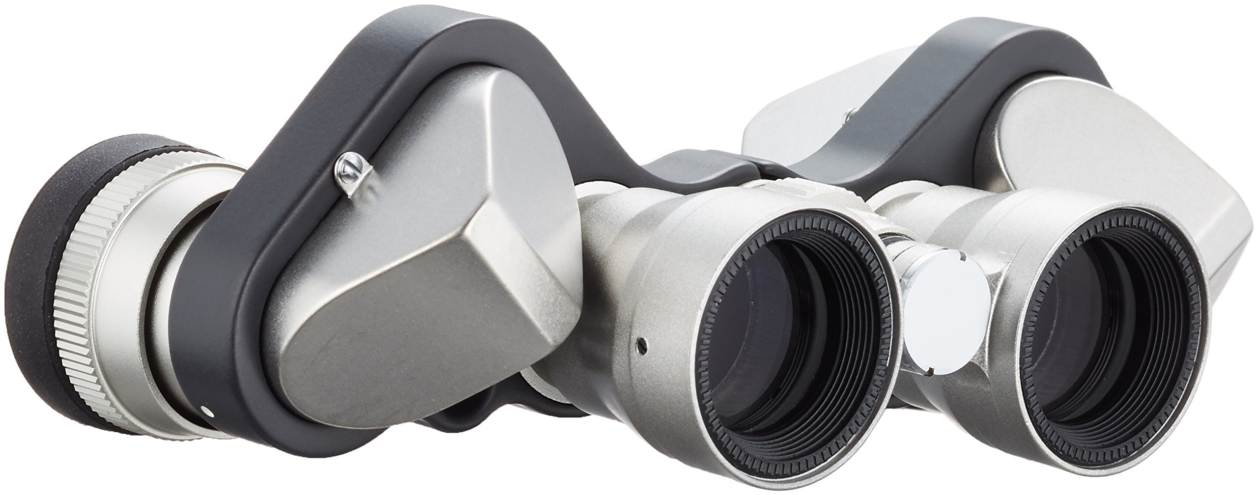 Nikon Binoculars Binocle Mikron 6x15 M6x15 : Amazon.ca: Electronics