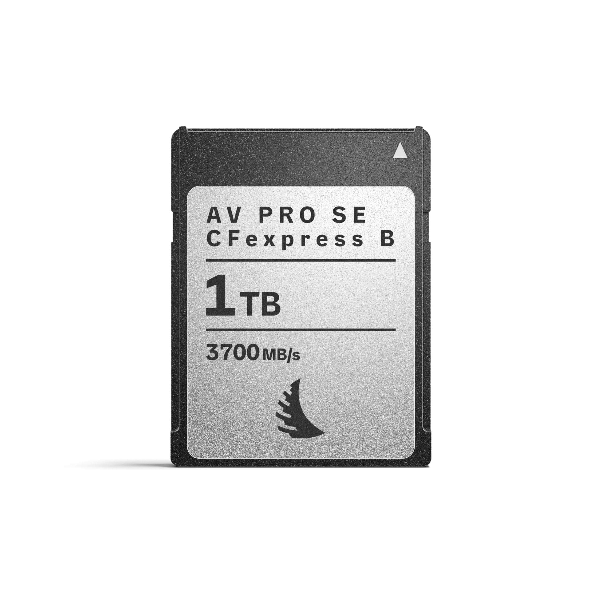 Amazon.com: Angelbird AV PRO SE CFexpress B v4 1 TB - CFexpress