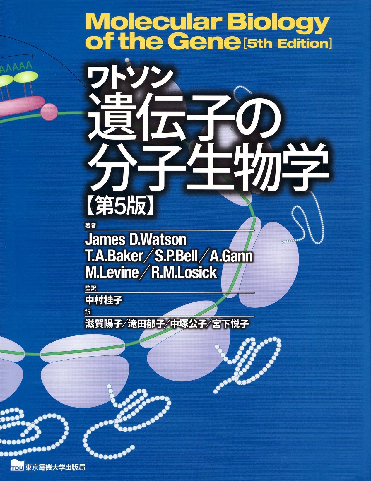 ワトソン遺伝子の分子生物学 第5版 | James D.Watson, 滋賀 陽子 |本