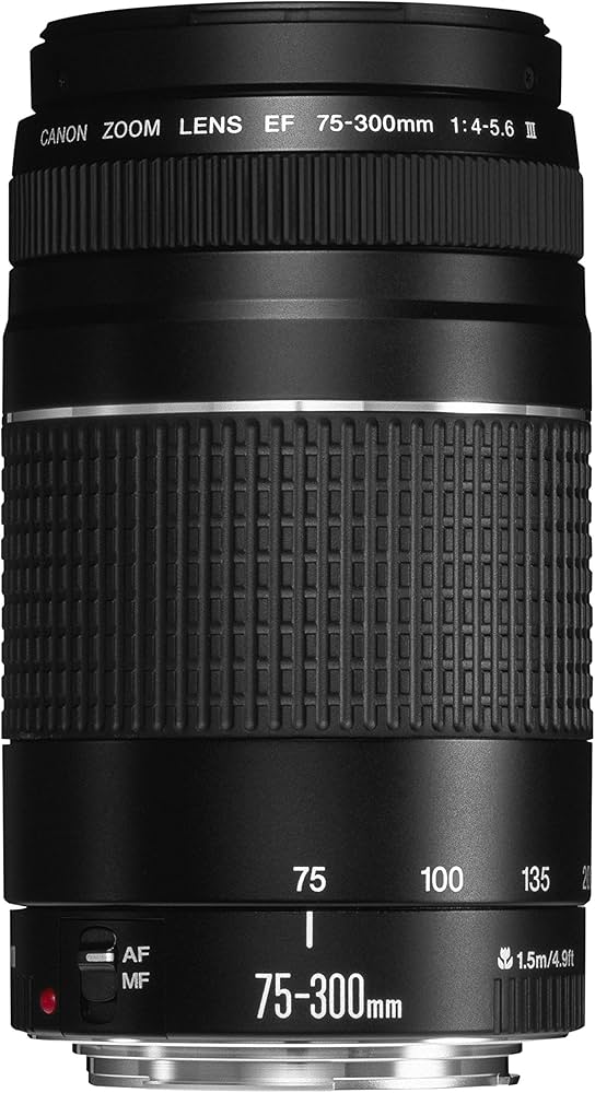 Amazon.com : Canon 75-300mm F4-5.6 III EF Lens (Non-USM) : Camera