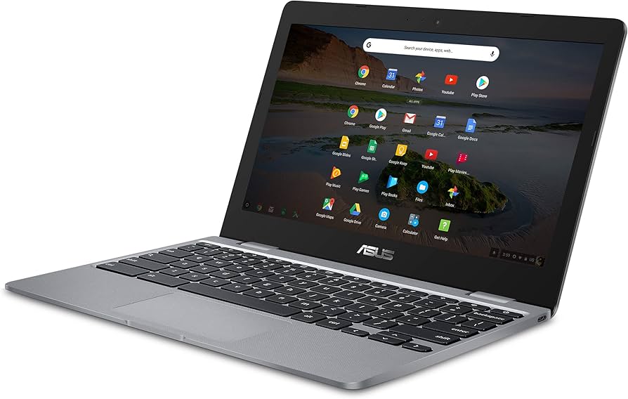 ASUS Chromebook C223 11.6