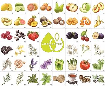 Amazon | マスターワインアロマキット（88種類のアロマ）ワインアロマ