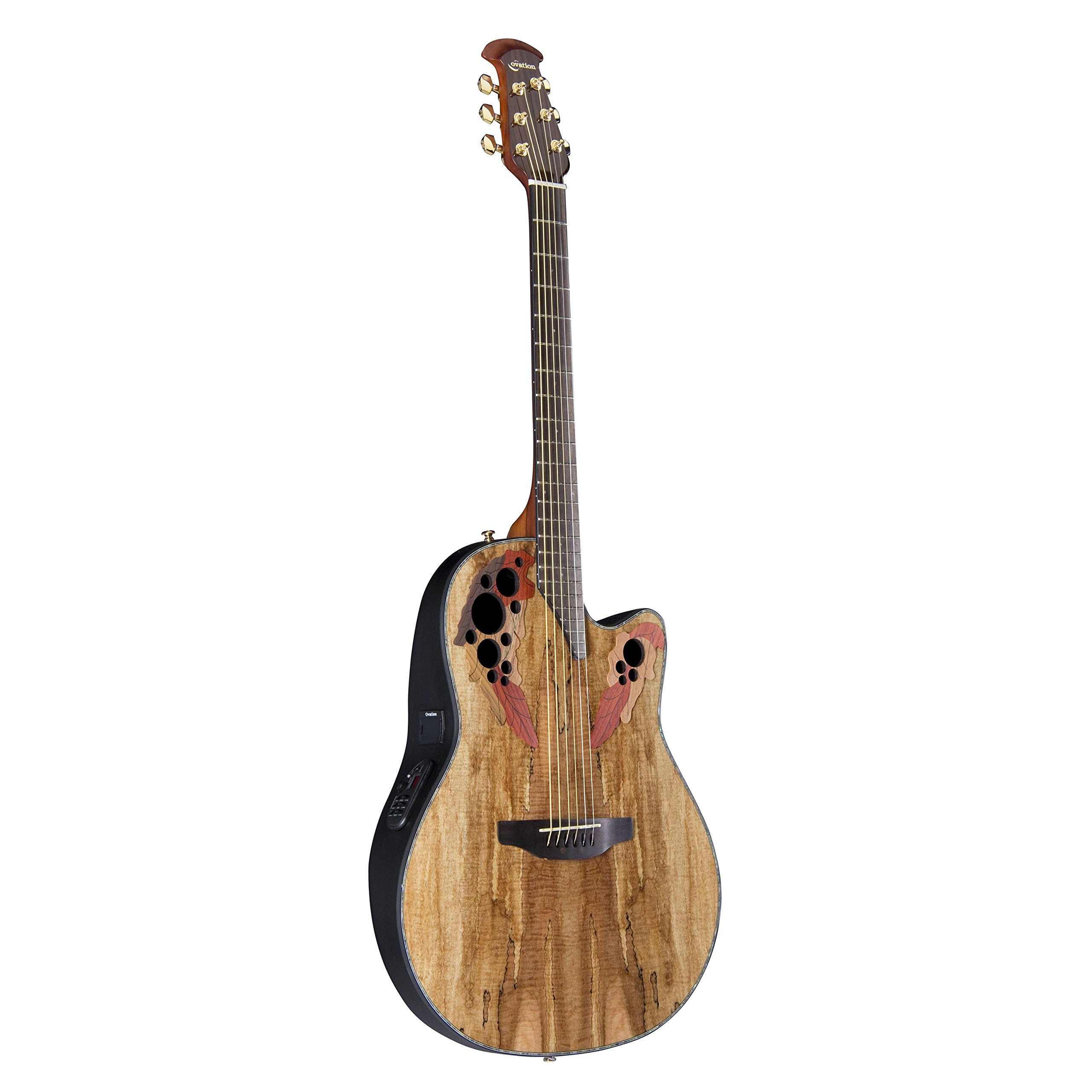 Amazon.com: Ovation CE44P-SM Acoustic-Electric Guitar, Spalted