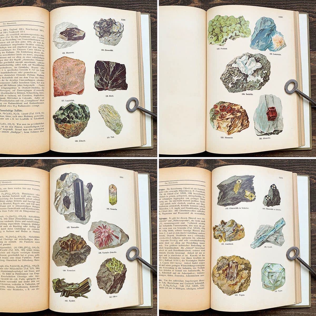 Amazon | 1923年ドイツの古い鉱物図鑑(DAS MINERALREICH)アンティーク