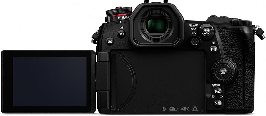 Amazon.com : PANASONIC LUMIX G9 Mirrorless Camera Body, 20.3