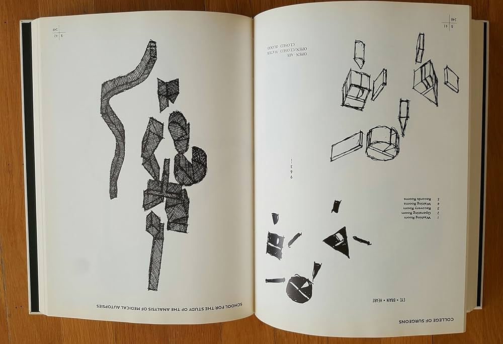 Soundings: Hejduk, John: 9780847816842: Amazon.com: Books