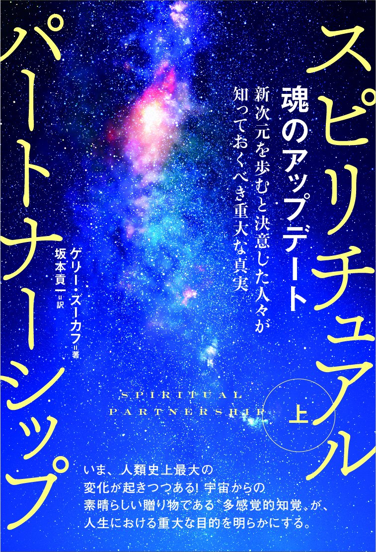 魂のアップデート スピリチュアルパートナーシップ[上] 新次元を歩むと