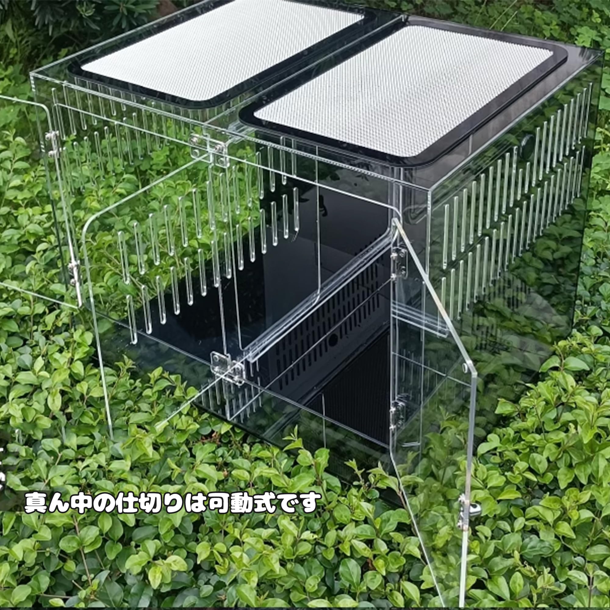 Amazon | 40cm30cm30cm爬虫ケージ 中間仕切り付き2匹のペットを隔離