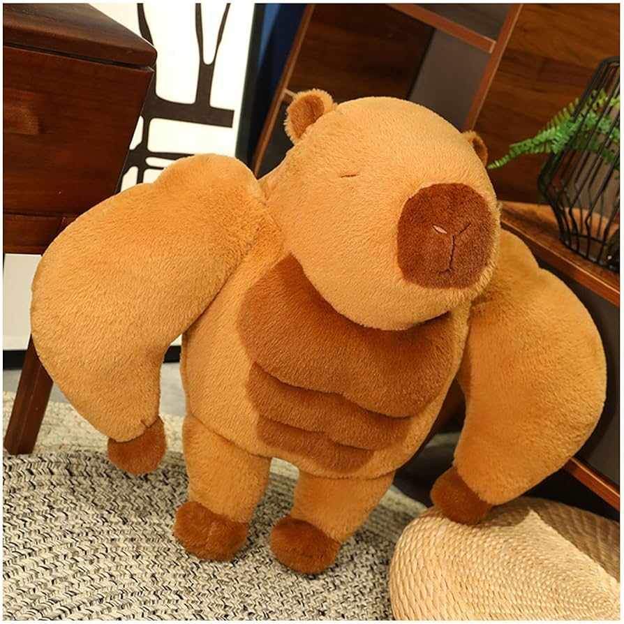 Amazon.co.jp: ぬいぐるみカピバラ 45/65cm、フィットネス, カピバラの