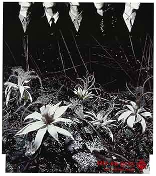 Amazon.co.jp: ain't afraid to die: Music