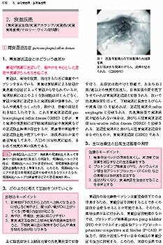 わかりやすい内科学 第5版 | 井村裕夫, 足立壯一, 稲垣暢也, 尾野 亘