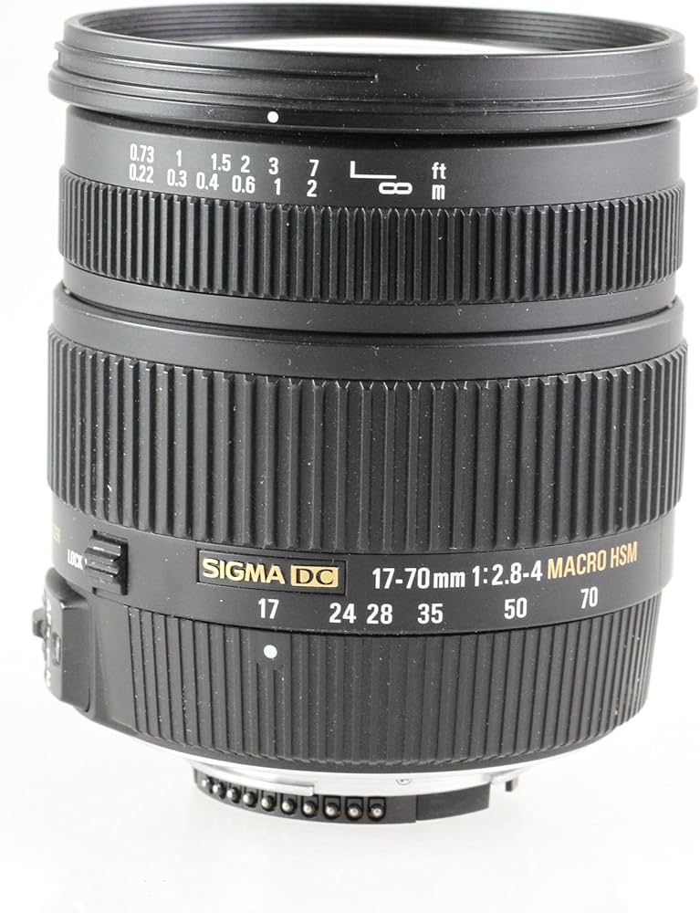Amazon.com : Sigma 17-70mm f/2.8-4 DC Macro OS HSM Lens for Nikon