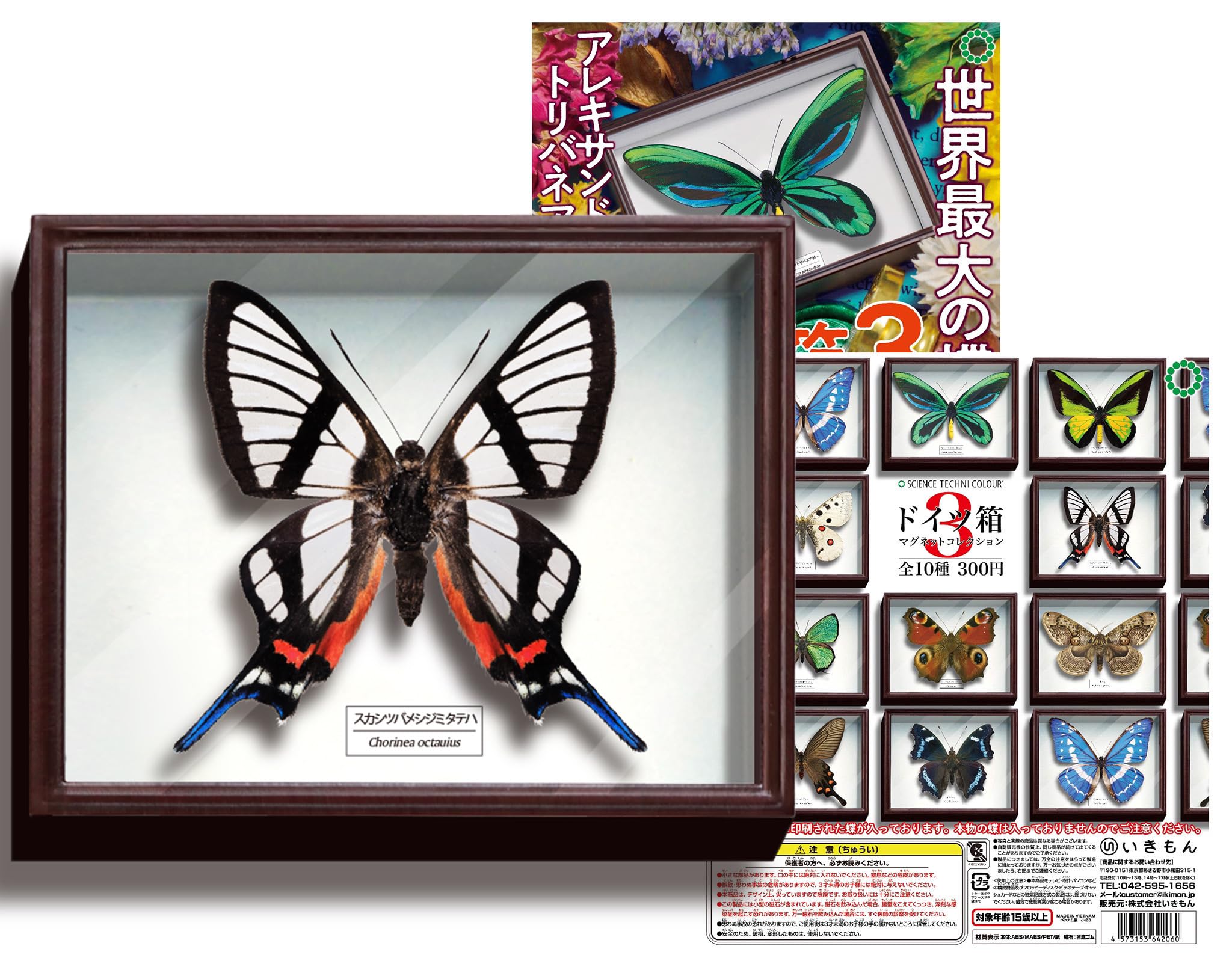 昆虫標本箱 大型ドイツ箱 3個セット (A) 大型ドイツ型標本箱[黒] -