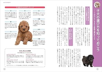 81FpWIdyG3L._AC_UF350,