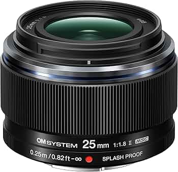 81LD-ErdNOL._AC_UF350,