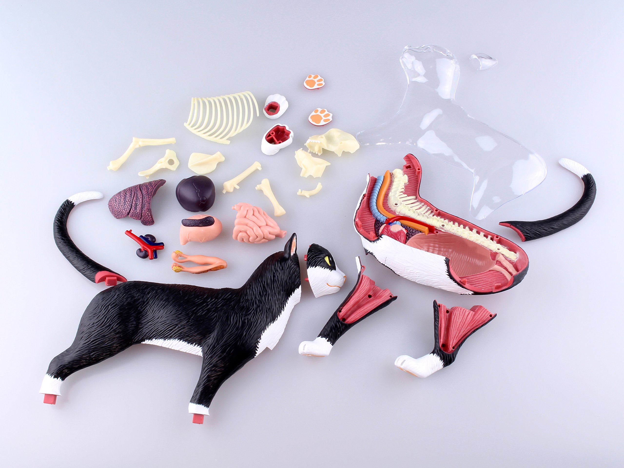 Amazon.co.jp: 青島文化教材社 スカイネット 立体パズル 4D VISION