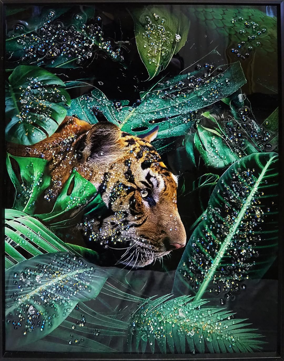 Amazon.co.jp: クリスタルアート ベンガル アートパネル 51x61cm