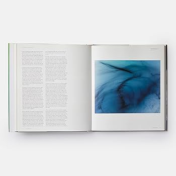 Wolfgang Tillmans: Jan Verwoert, Peter Halley, Midori Matsui