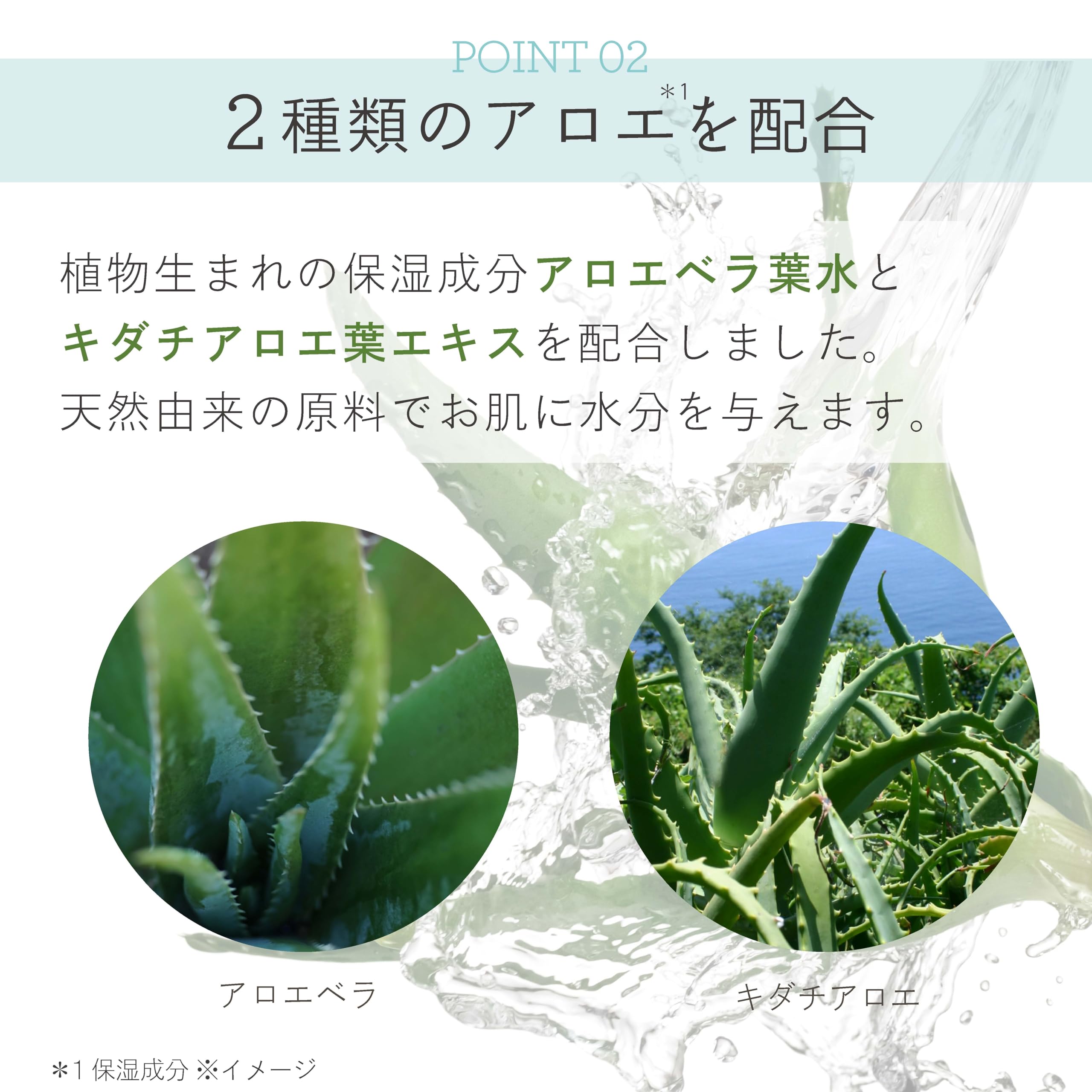 Amazon | ALOE GARDEN アロエガーデン メイク落とし洗顔料