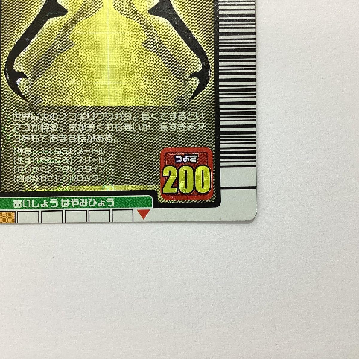 Amazon.co.jp: 甲虫王者 ムシキング ムシカード 2004年夏限定 001