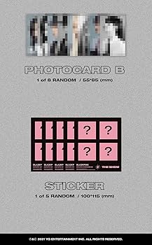 Amazon.co.jp: ブラックピンク - BLACKPINK 2021 THE SHOW LIVE CD CD2