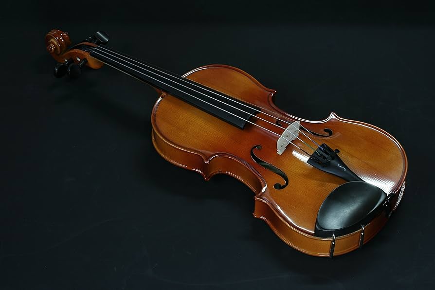 Amazon.co.jp: STENTOR ステンター バイオリン アウトフィット 4/4