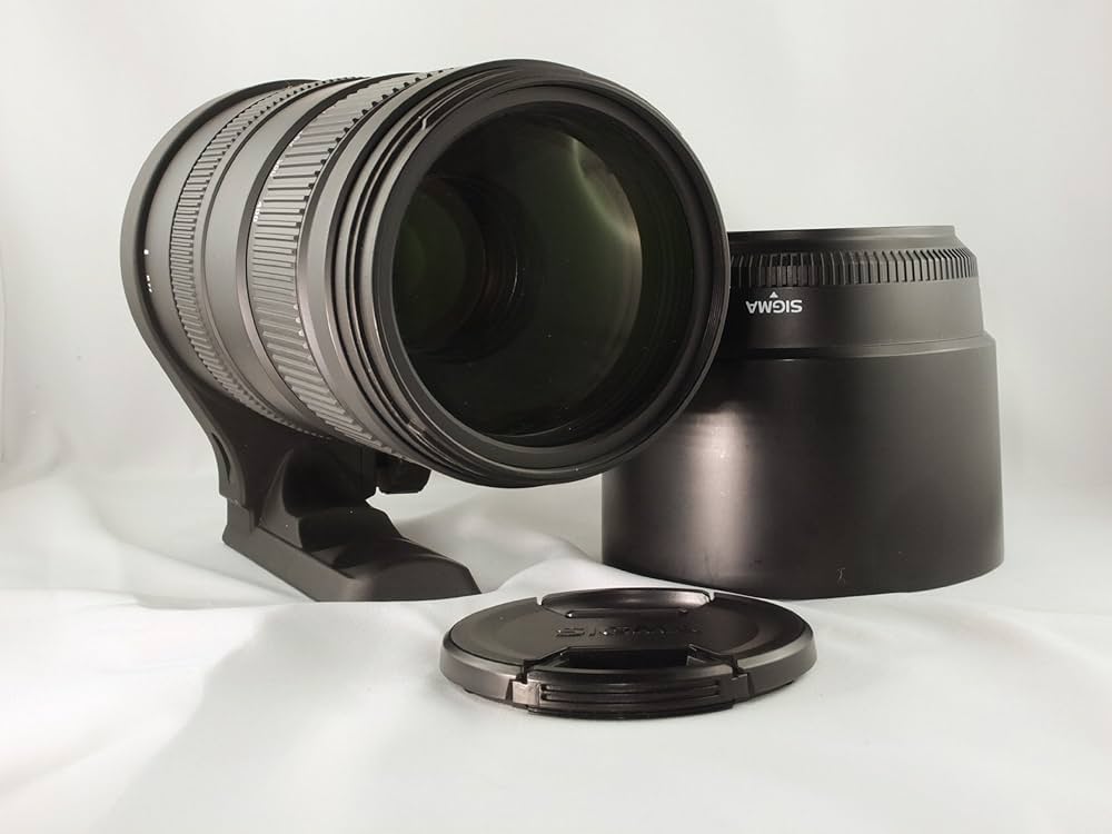 Amazon.co.jp: SIGMA 望遠ズームレンズ APO 120-400mm F4.5-5.6 DG OS