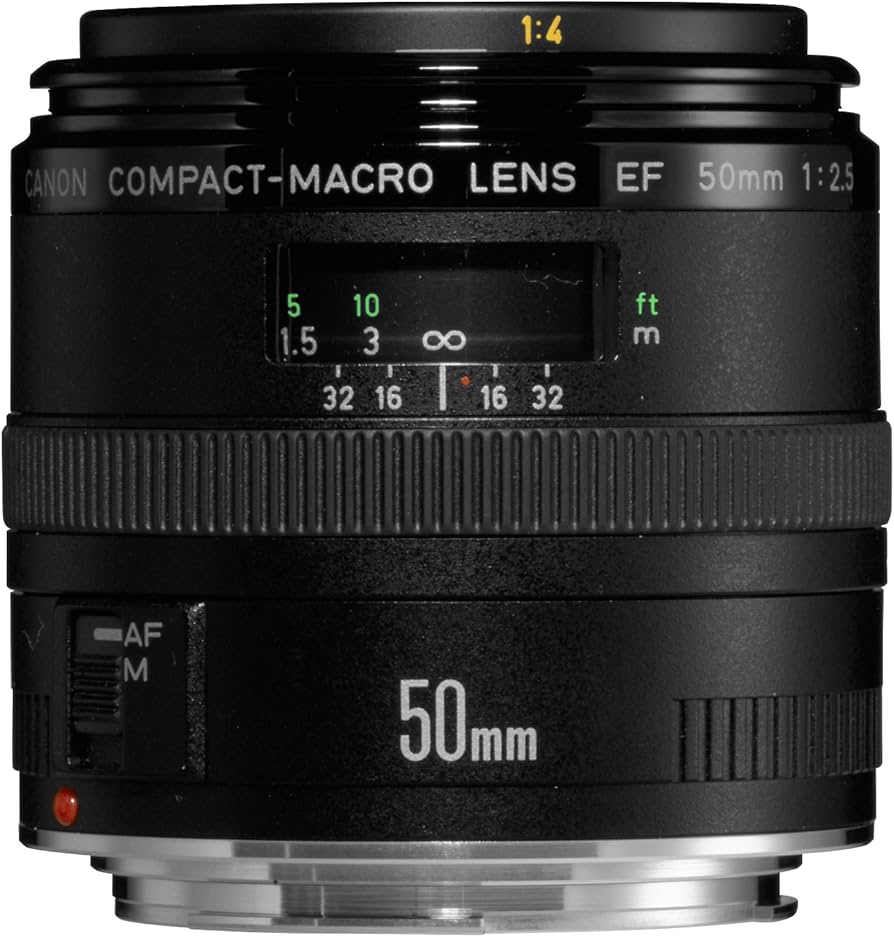 Amazon.com : Canon EF 50mm f/2.5 Compact Macro Lens for SLR DSLR