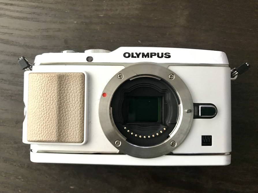 Amazon.com : OM SYSTEM OLYMPUS PEN E-P3 12.3 MP Live MOS