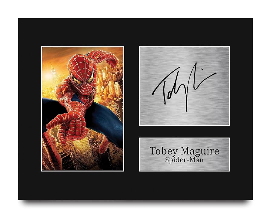 世界一枚 アメージングスパイダーマン アンドリュー・ガーフィールド