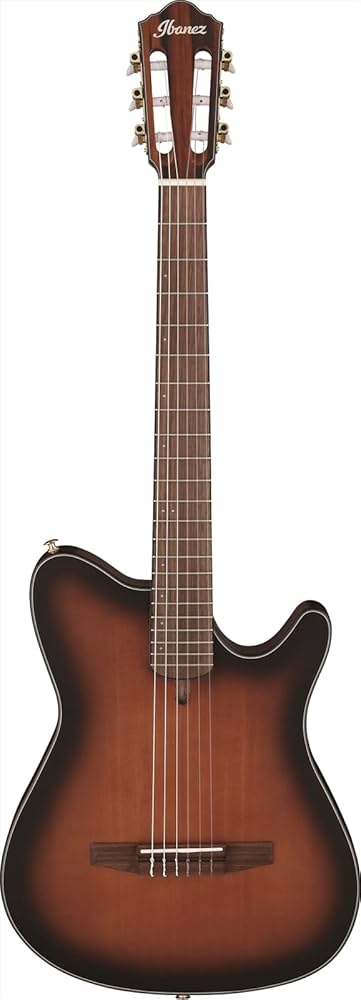 Amazon.com: Ibanez FRH10N Thinline Nylon Acoustic-electric Guitar