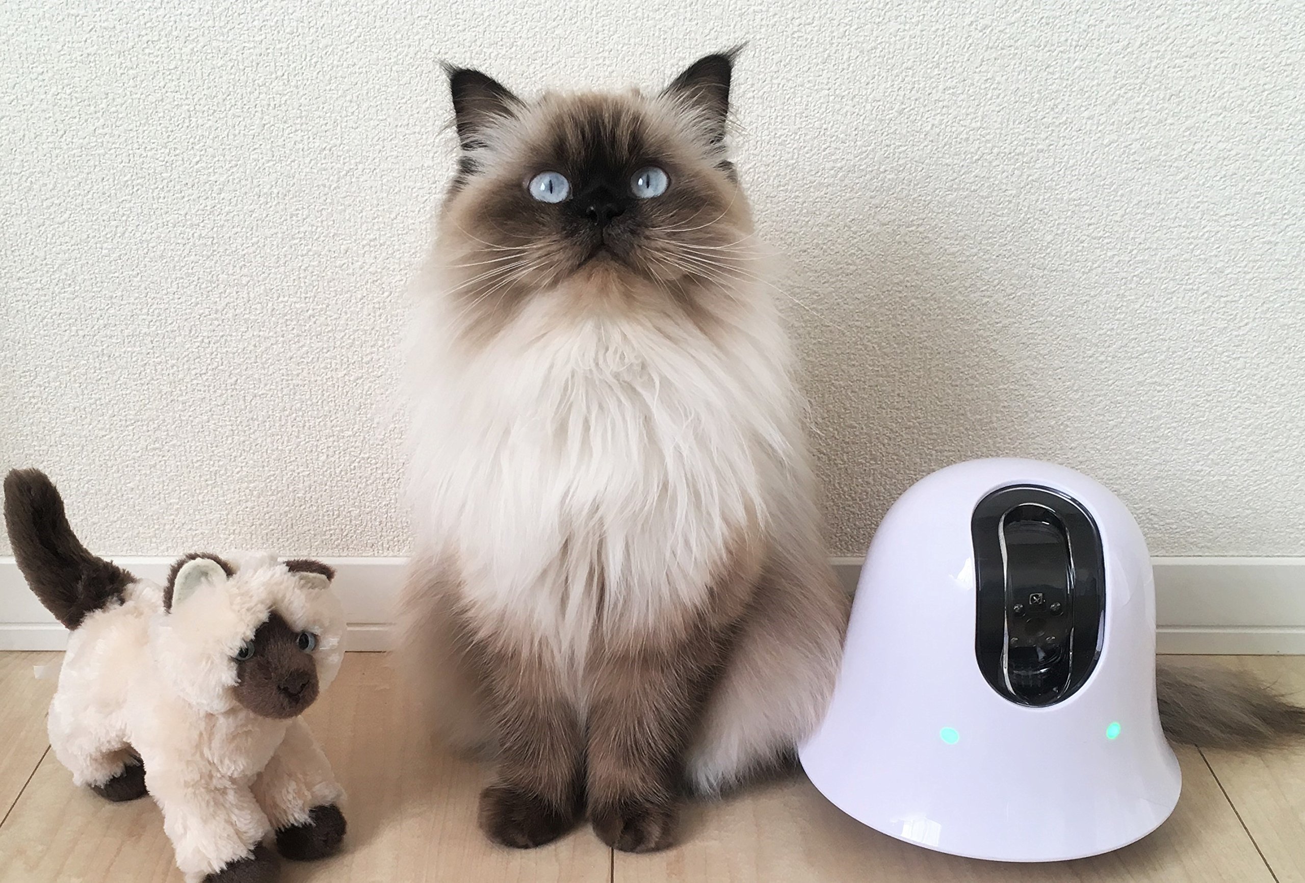 Amazon.co.jp: ilbo 移動式 お留守番 ネットワークカメラ 遠隔操作で