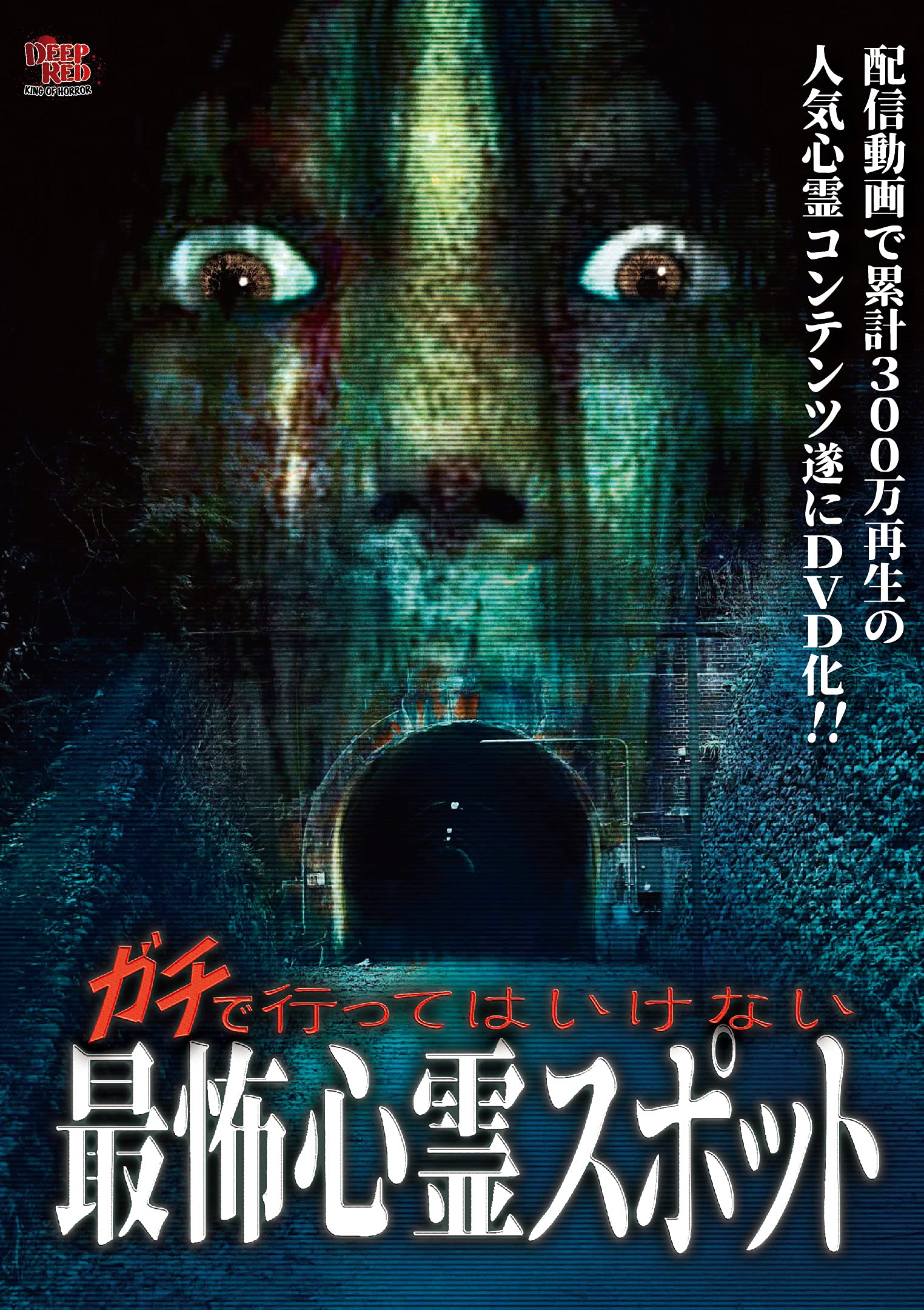 Amazon.co.jp: ガチで行ってはいけない最怖心霊スポット [DVD] : 心霊