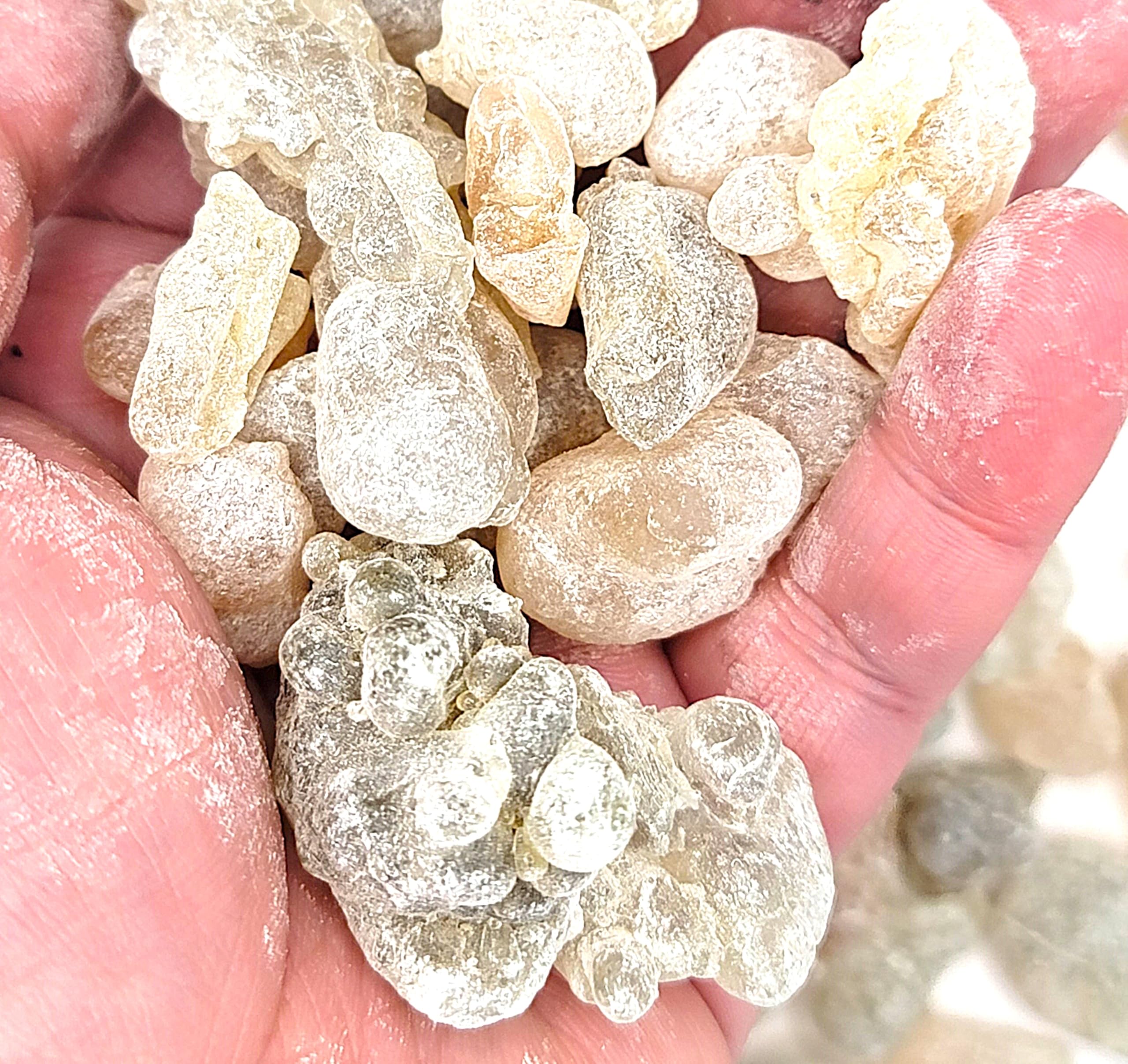 Amazon.co.jp: 「AnnaReine 」オマーン産 ローヤルグリーンホジャリ最