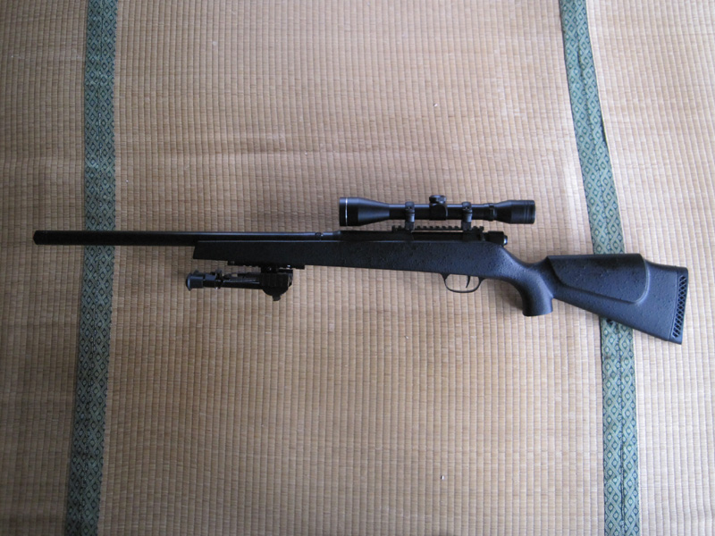 エスツーエス製tsr-zero エアガン スコープ付き Amazon | エスツーエス