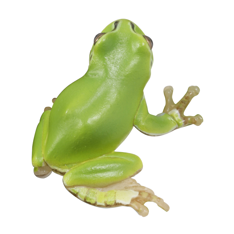 NTC 日本のカエル 特装版 – ネイチャーテクニカラー公式