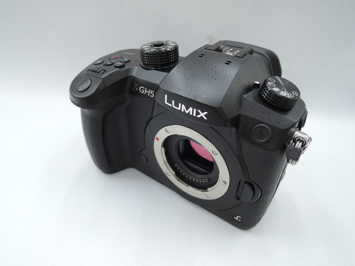 価格.com - パナソニック LUMIX DC-GF10W ダブルレンズキット 純正