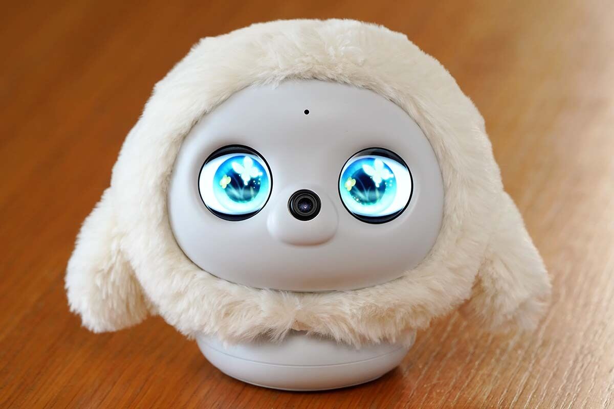 AI搭載ペットロボット「lopeto」レビュー 表情豊か、温もりも感じ